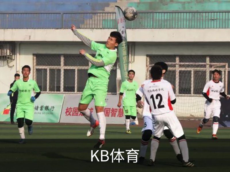 KB体育概况